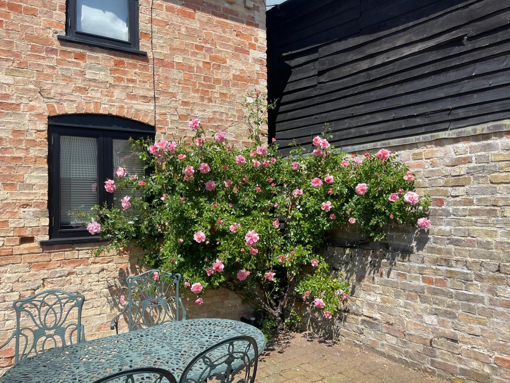 Ferienhaus Pretty In Charming Peaceful Village - Easy Commute To - Homehost Cambridge