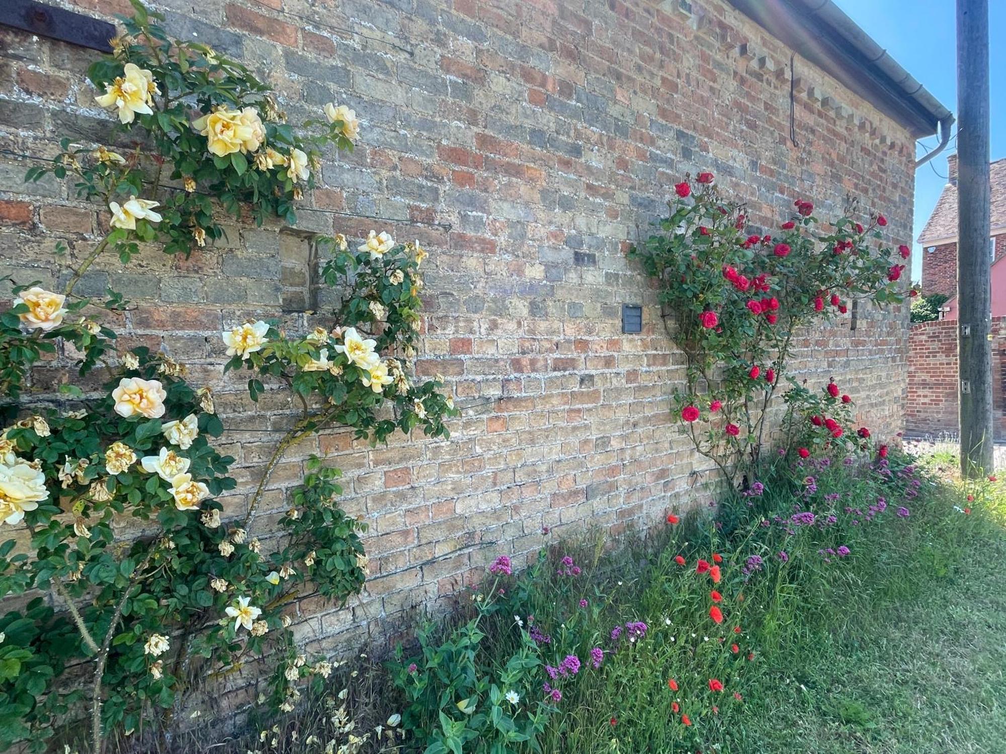 Pretty In Charming Peaceful Village - Easy Commute To - Homehost Ferienhaus Cambridge