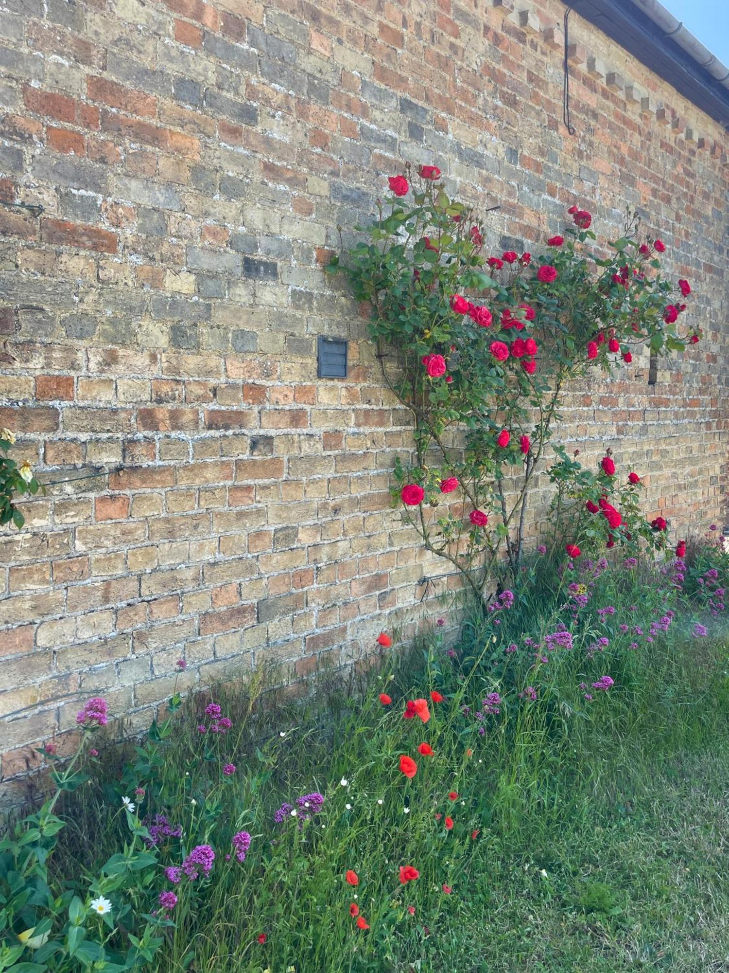 Pretty In Charming Peaceful Village - Easy Commute To - Homehost Ferienhaus *