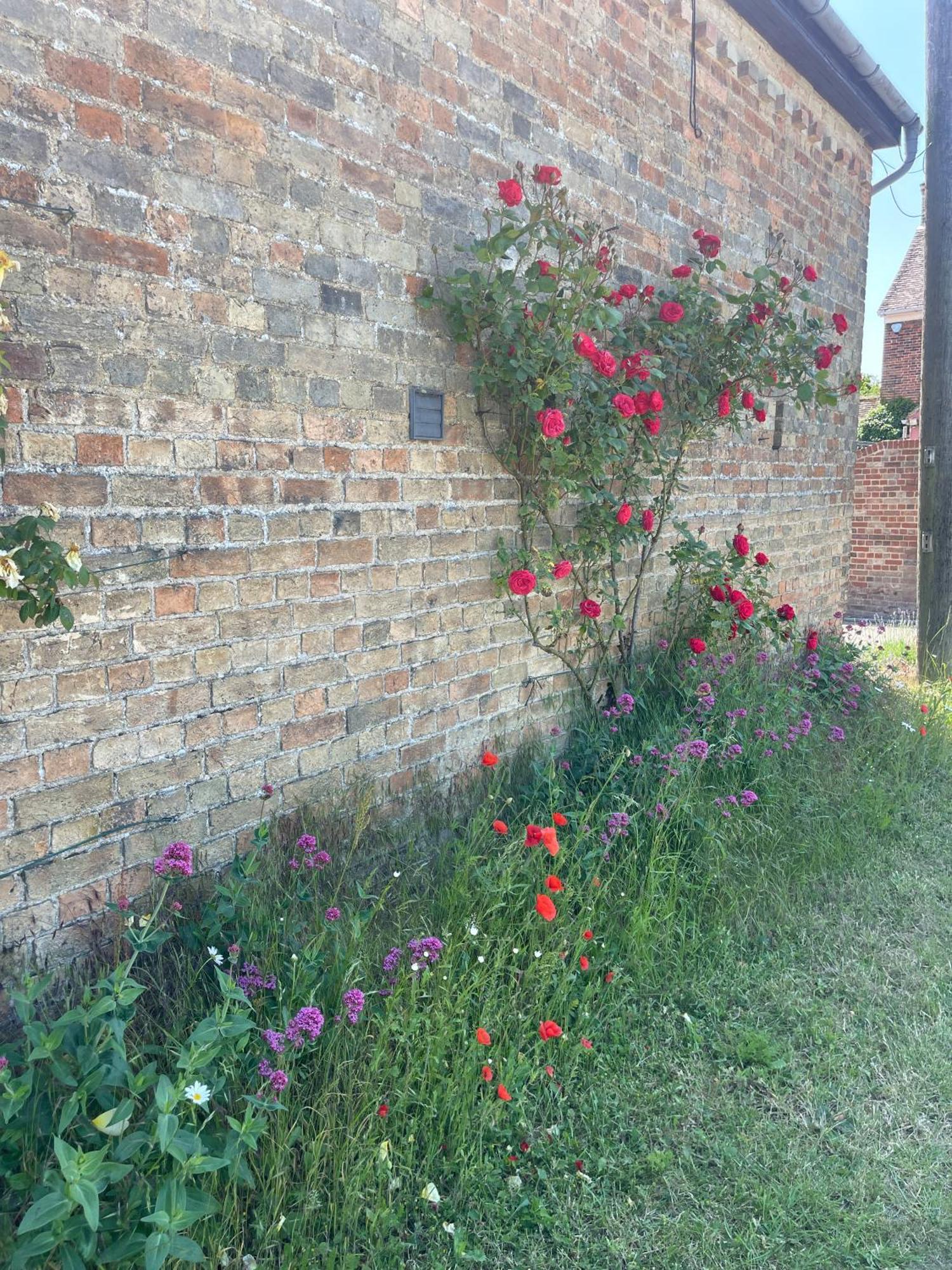 Pretty In Charming Peaceful Village - Easy Commute To - Homehost * Cambridge