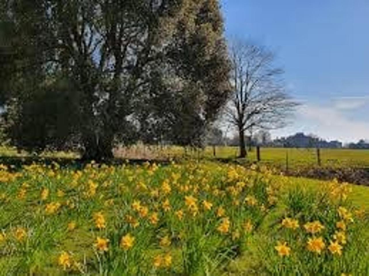 Ferienhaus Pretty In Charming Peaceful Village - Easy Commute To - Homehost *